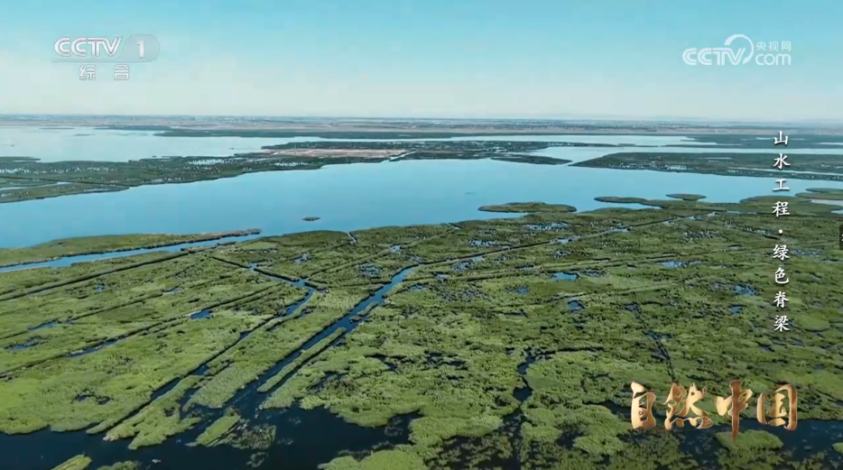 《山水工程——中国生态保护修复》第5集：绿色脊梁
