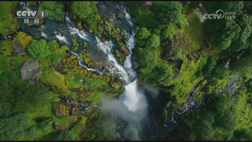 《林下万物生》第2集：山野创变