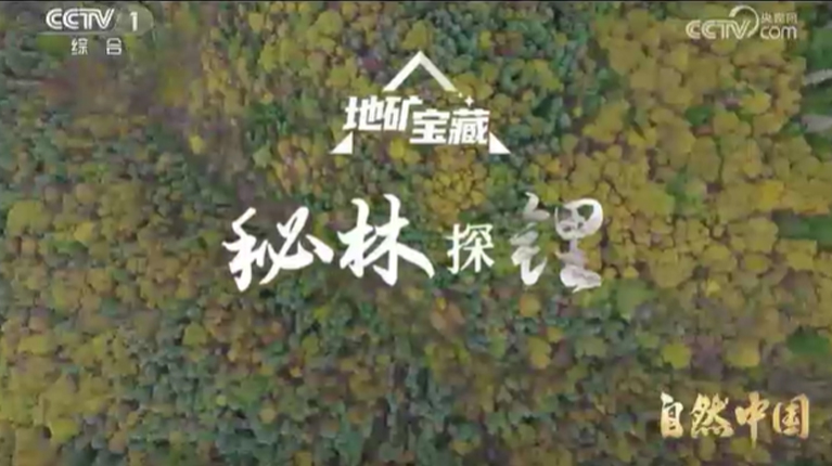《自然中国之地矿宝藏》第2集 秘林探锂
