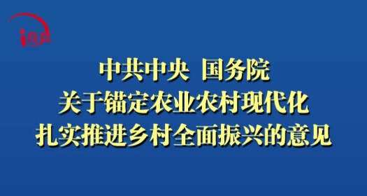 21张海报，速读2026年中央一号文件中的自然资源工作
