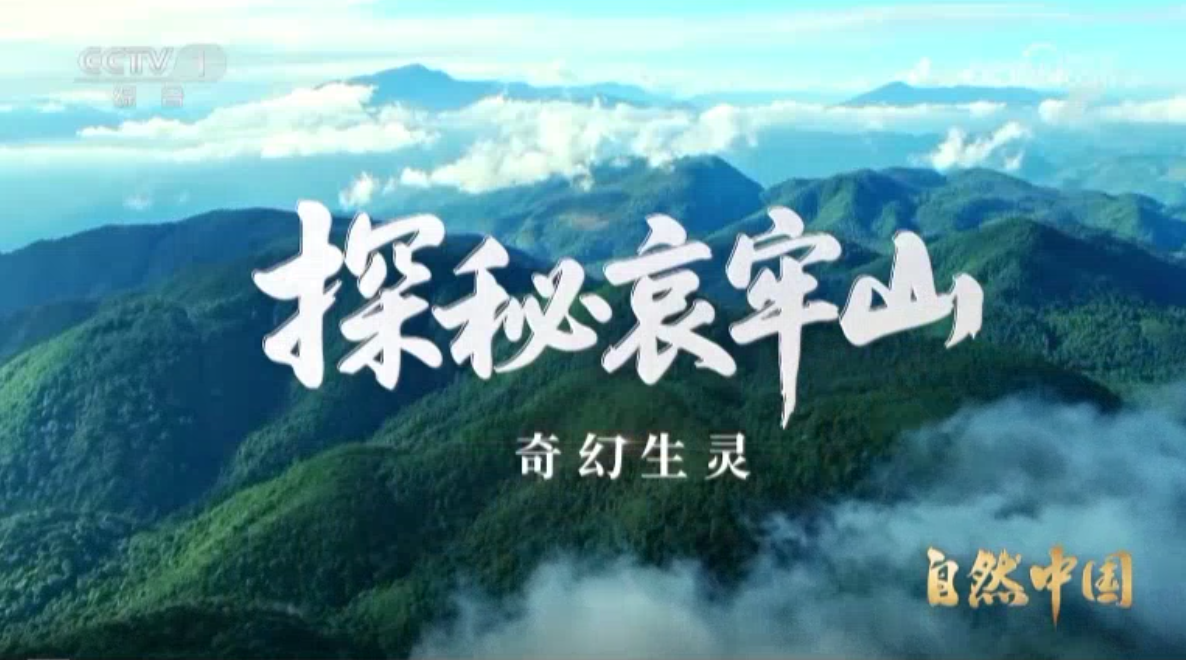 《探秘哀牢山》第4集 奇幻生灵</TRS_DOCUMENT>