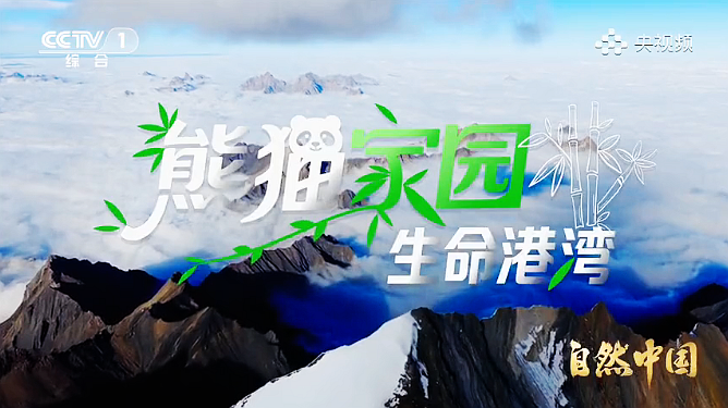 《熊猫家园》第一集：生命港湾</TRS_DOCUMENT>