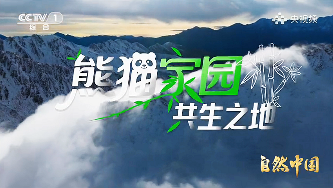 《熊猫家园》第三集：共生之地