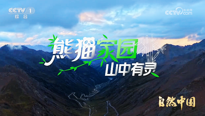 《熊猫家园》第五集：山中有灵