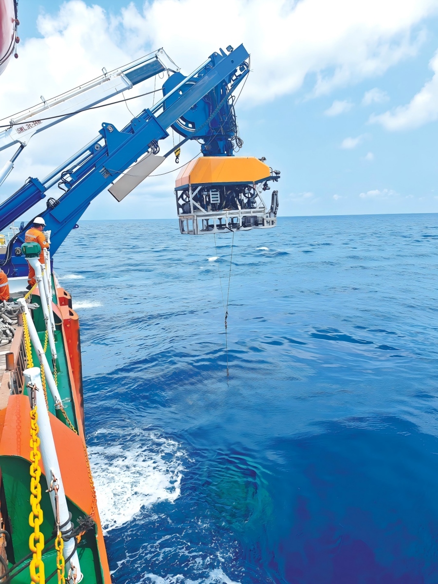 W020260413359016005300