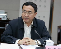 国土资源部总工程师张洪涛主持会议