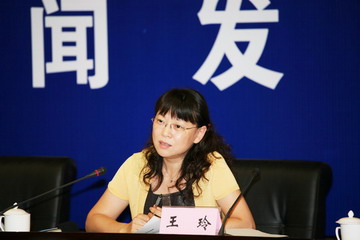 王玲答记者问