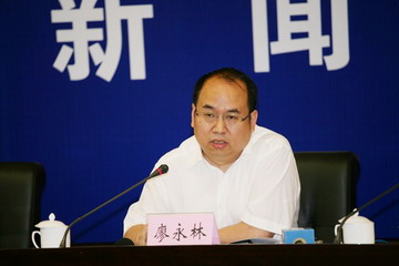 廖永林答记者问