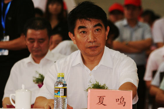 江苏省国土资源厅厅长夏鸣观看纪念第21个全国土地日专题文艺演出