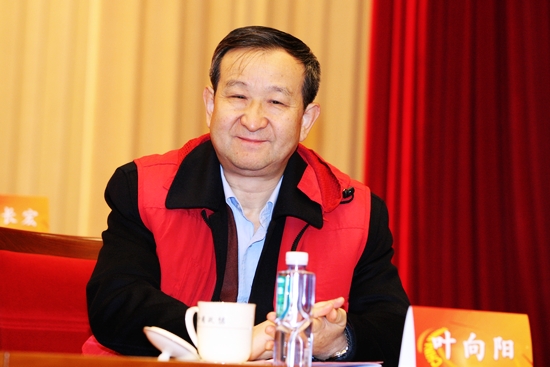 中国建筑材料联合会副会长副书记叶向阳出席会议