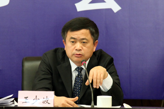 国土资源部矿产资源储量司王少波副司长回答记者提问