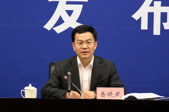 国土资源部执法监察局副局长岳晓武通报典型案件查处结果