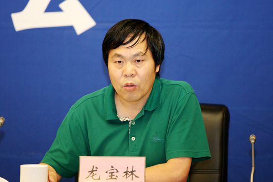 国土资源部中国地质调查局资源评价部龙宝林副主任回答媒体提问