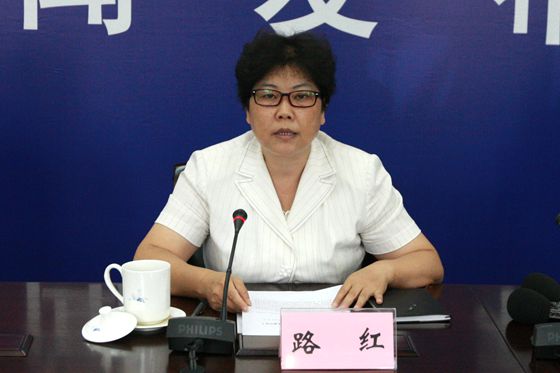 天津市国土资源和房屋管理局巡视员兼副局长路红介绍2016中国国际矿业大会筹备情况
