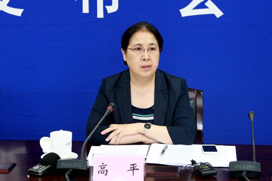 国土资源部科技与国际合作司副司长高平回答记者提问