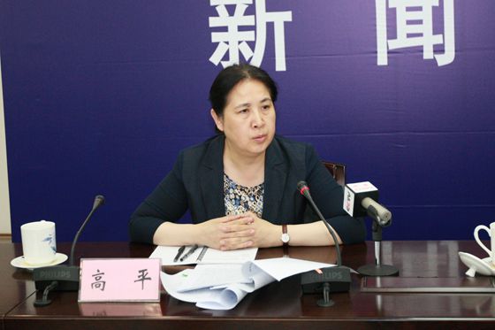 国土资源部科技与国际合作司副司长高平回答记者提问