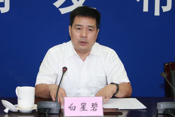 国土资源部科技与国际合作司副司长白星碧通报2017中国国际矿业大会主要情况