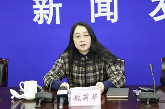 国土资源部政策法规司司长魏莉华通报有关情况