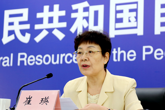 自然资源部执法监察局局长崔瑛通报10起违法案件查处情况