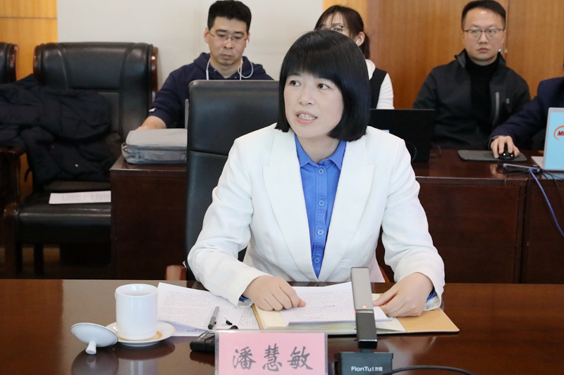 国家能源局新能源和可再生能源司副司长潘慧敏答记者问