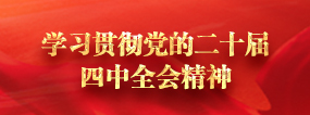 学习贯彻党的二十届四中全会精神