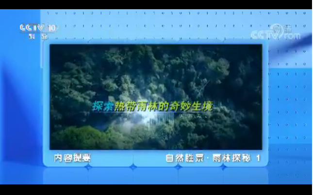 《地理·中国》：自然胜景·雨林探秘（1）