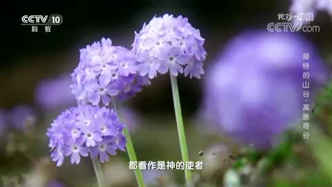 《地理·中国》: 奇特的山谷·高原奇谷