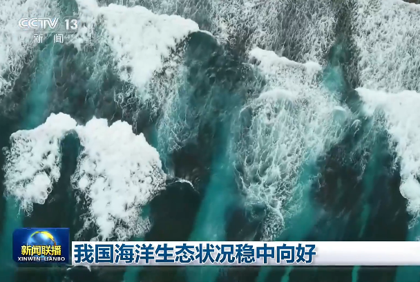 我国海洋生态状况稳中向好