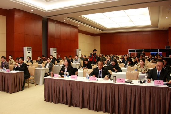 亚太地区矿业政策分论坛