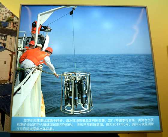 海洋生态环境状况稳中趋好