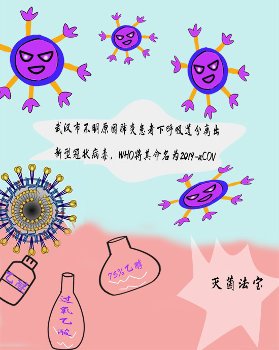 发热咳嗽莫要慌 带你深入了解新冠病毒